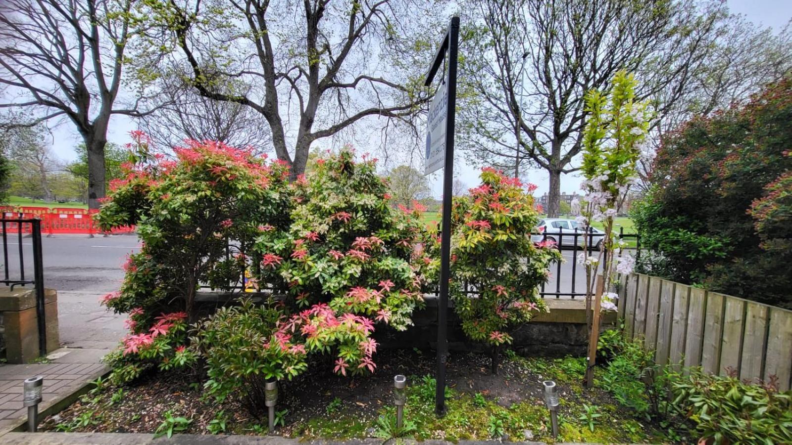 Mackenzie Guest house EDI Exterior foto